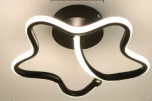 Loop Led Ceiling Lamp